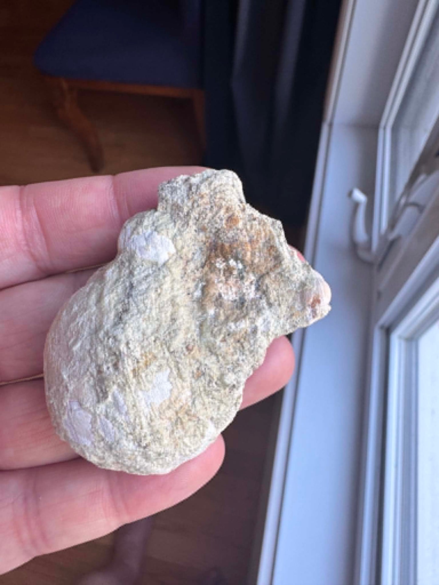 Natural Agate Mont Lyall Canada Half nodule