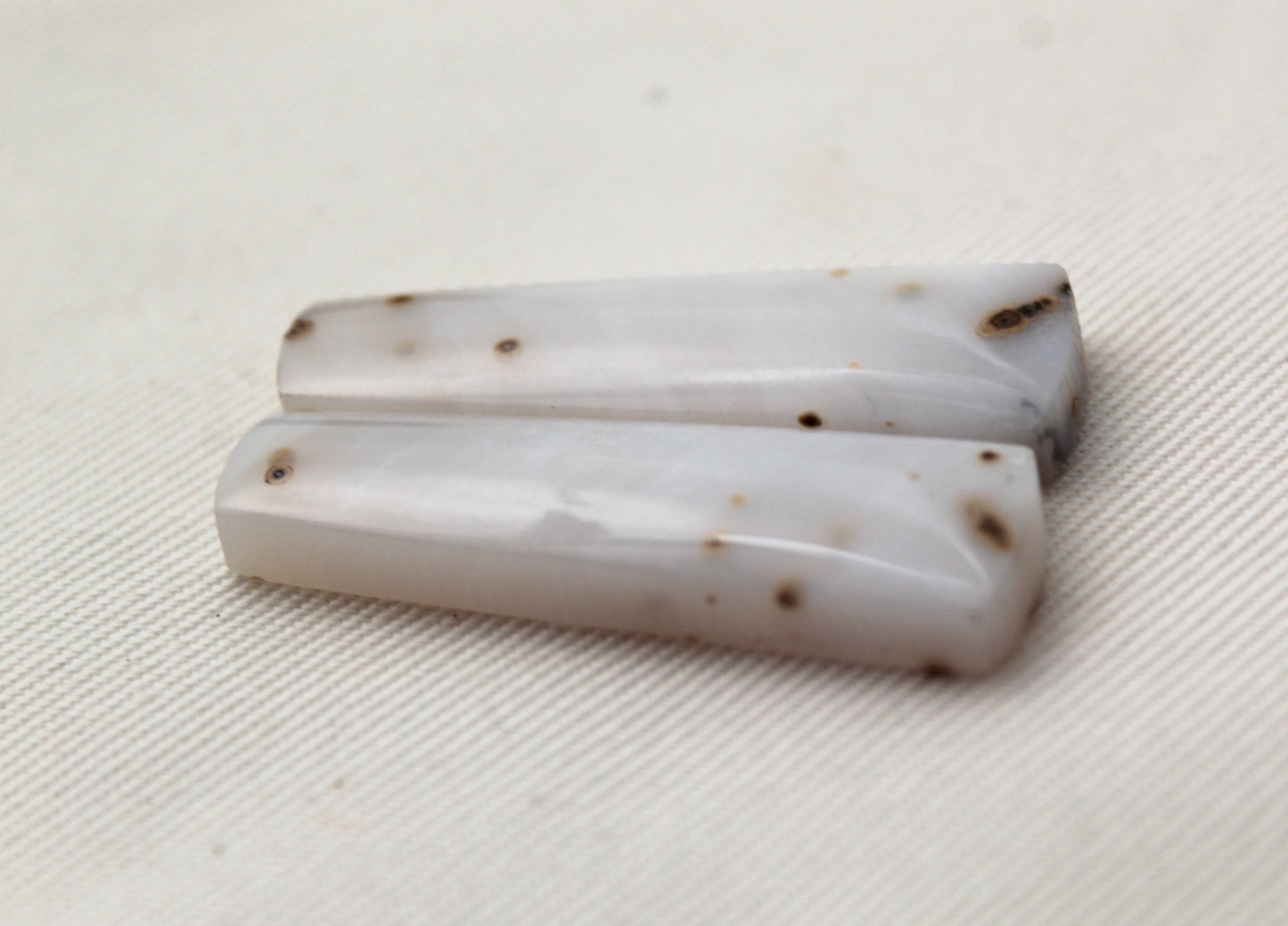 Pair of Polka Dot Agate Cabochons Gemstones