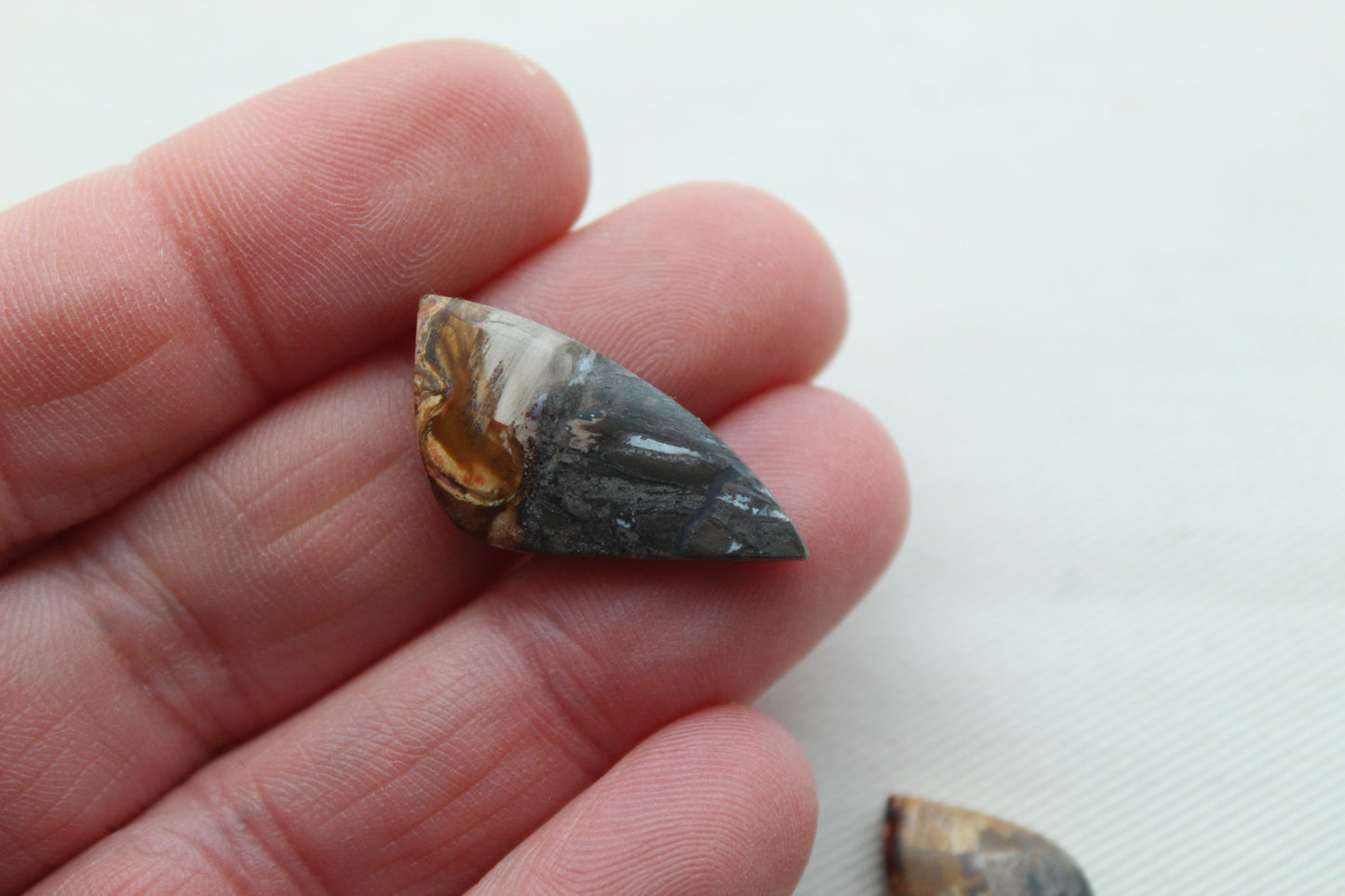 Small Petrified Palm Wood Cabochon Pair