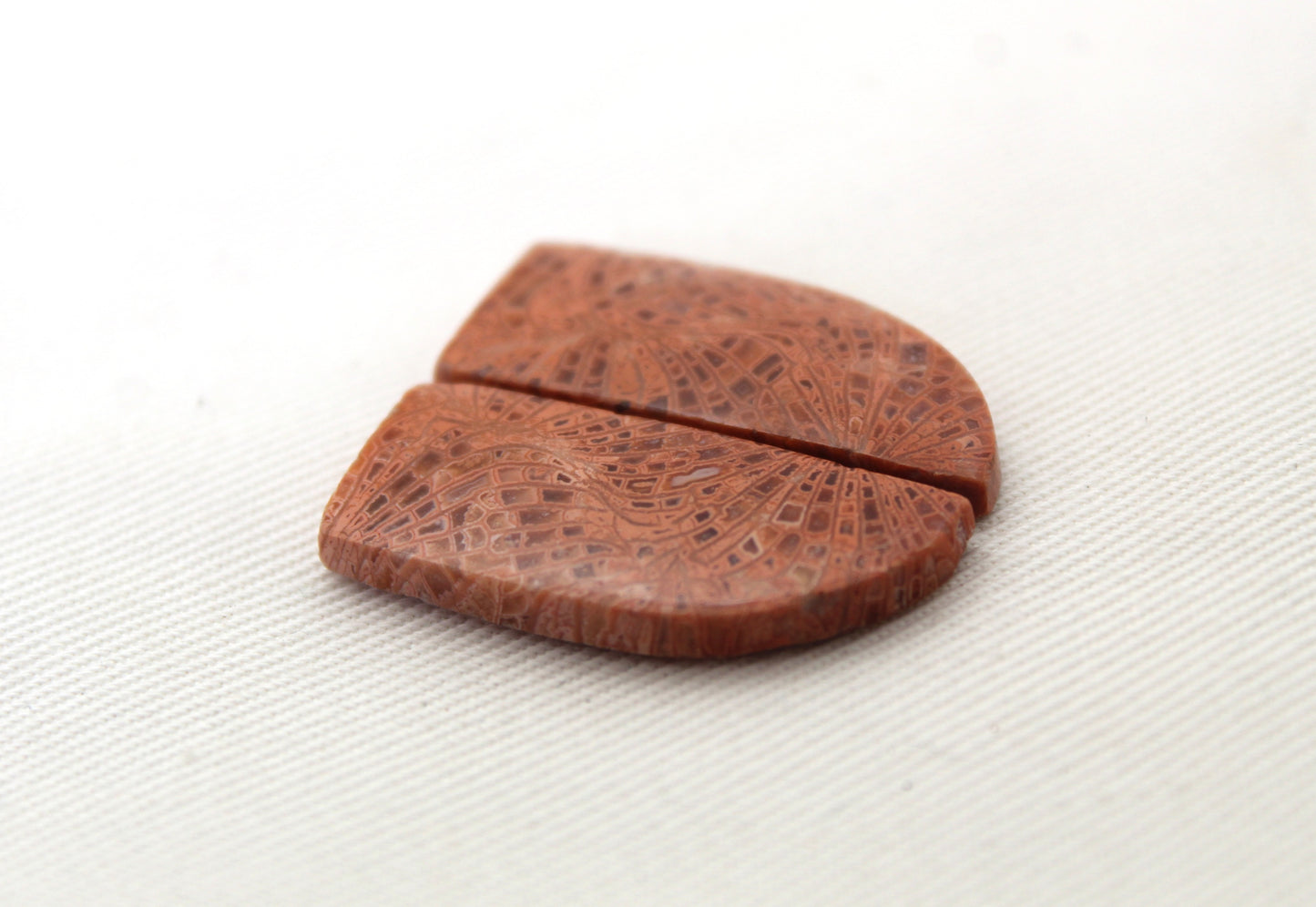 Pink Fossil Coral Pair of Gemstones cabochon freeform