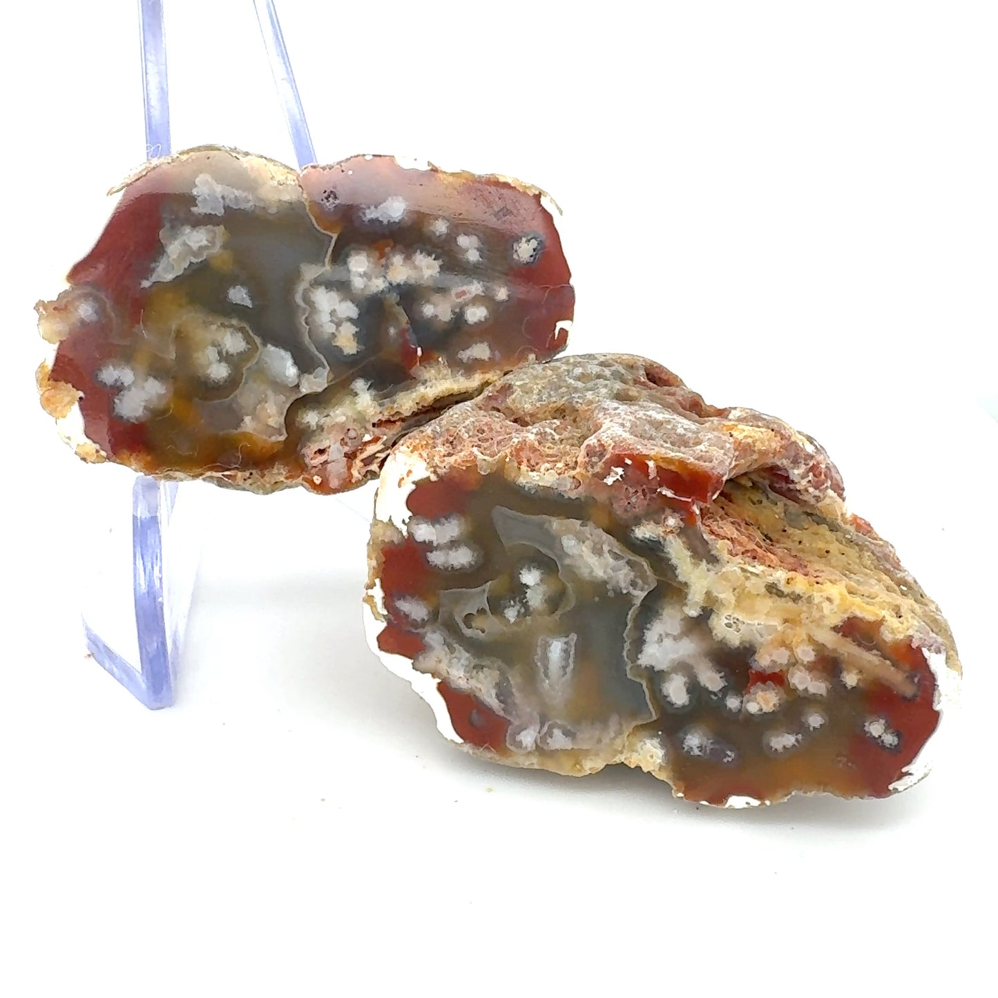 Indonesian Agate nodule polished sliced