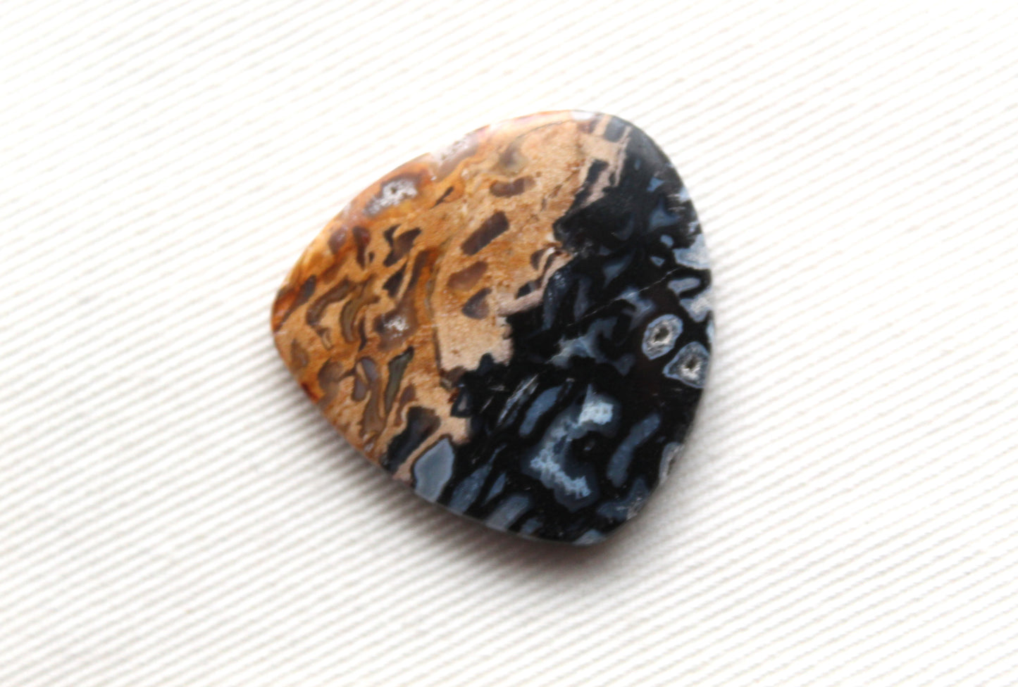 Fossil Palm Root Cabochon Gemstone black and beige