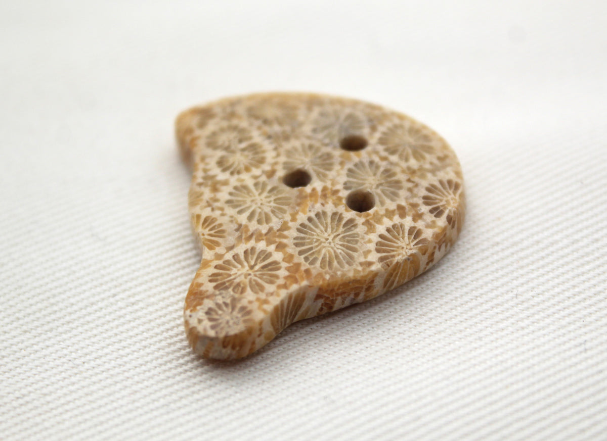 Fossilized Coral Gemstone cabochon Ghost