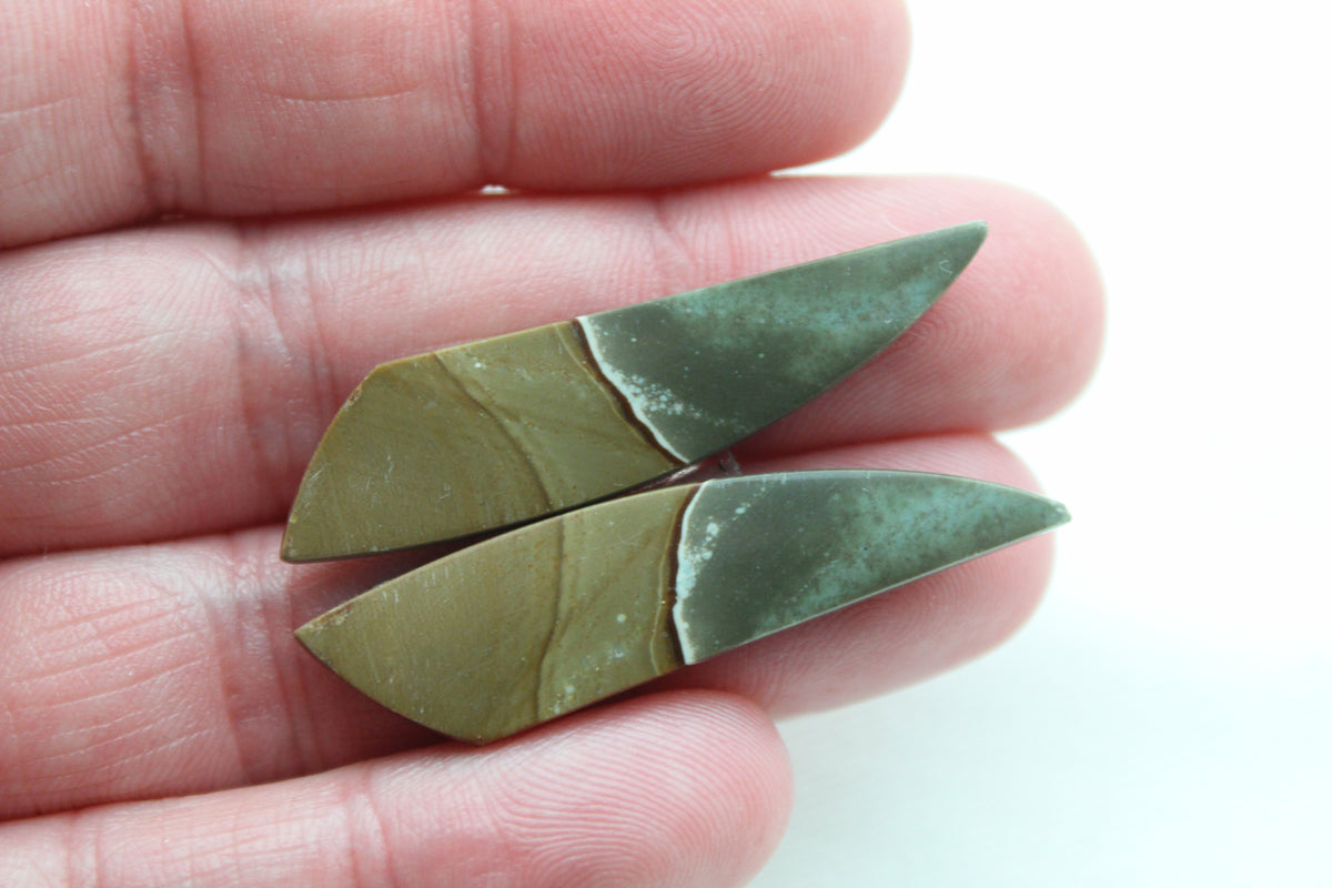 Long Matching pair of polychrome Jasper Cabochons