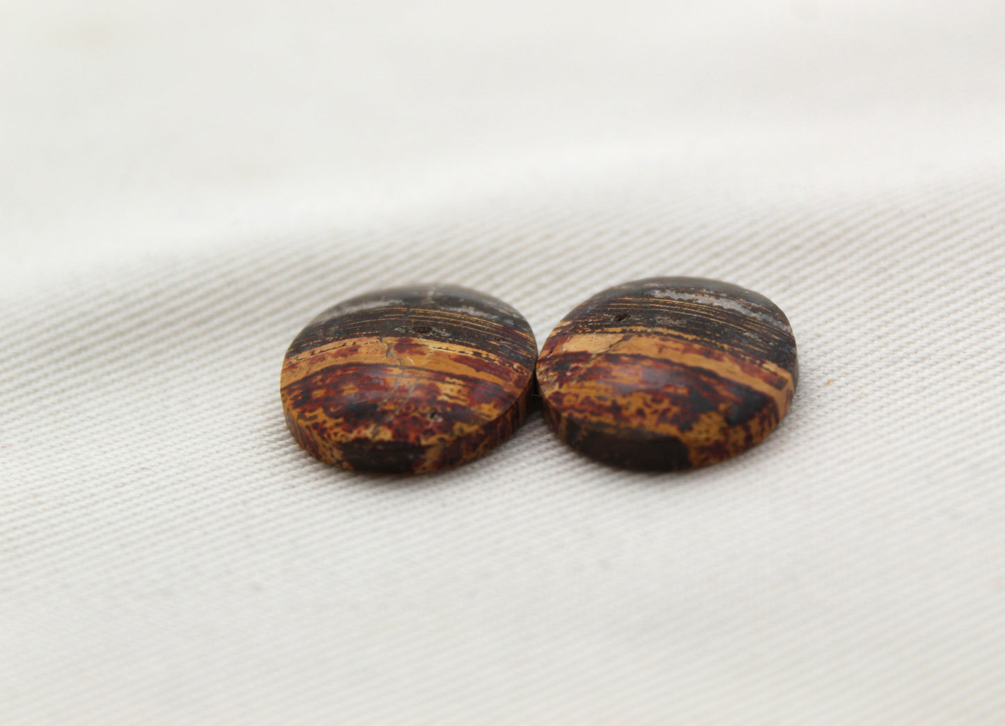 Small Petrified Wood Cabochon Pair natural gemstones round 16MM
