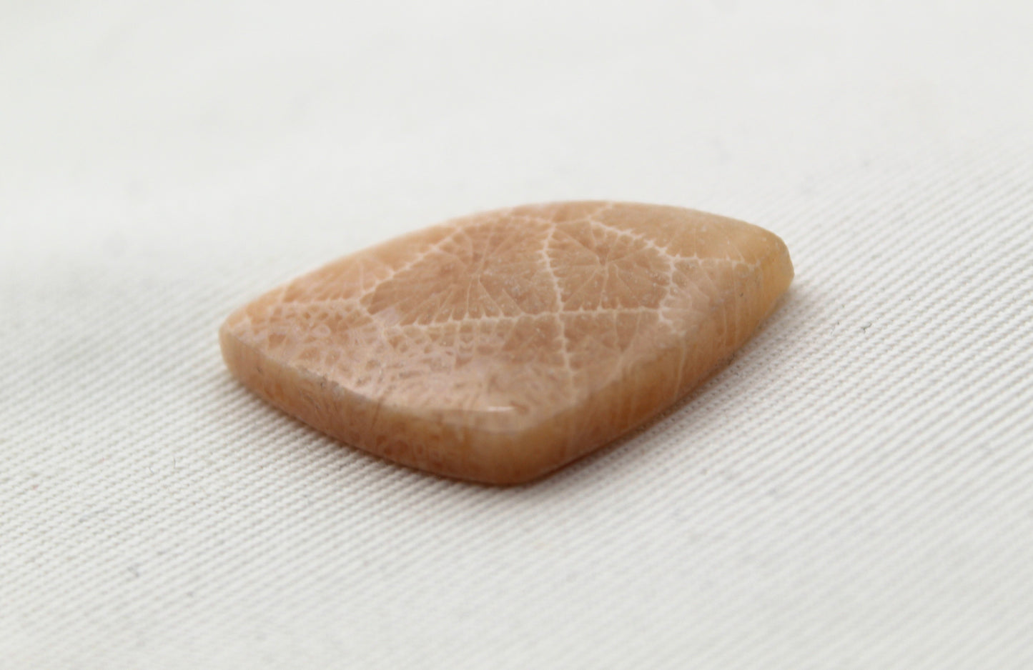 Fossilized Coral Cabochon Gemstone lace patterns