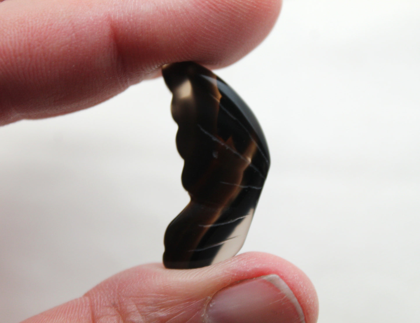 Montana Agate Cabochon Pair Gemstone Clear brown