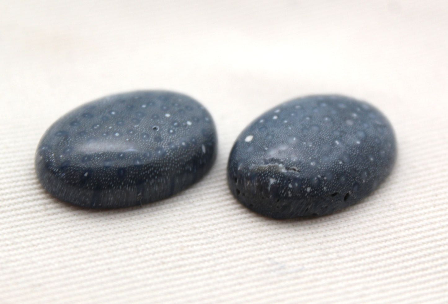 TWO Blue Sponge Coral Gemstone 15x20MM Oval