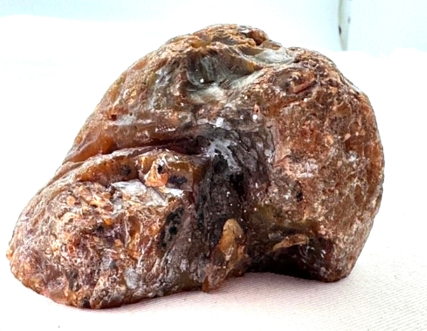UNIQUE Indonesian banded Agate half nodule polished Whale
