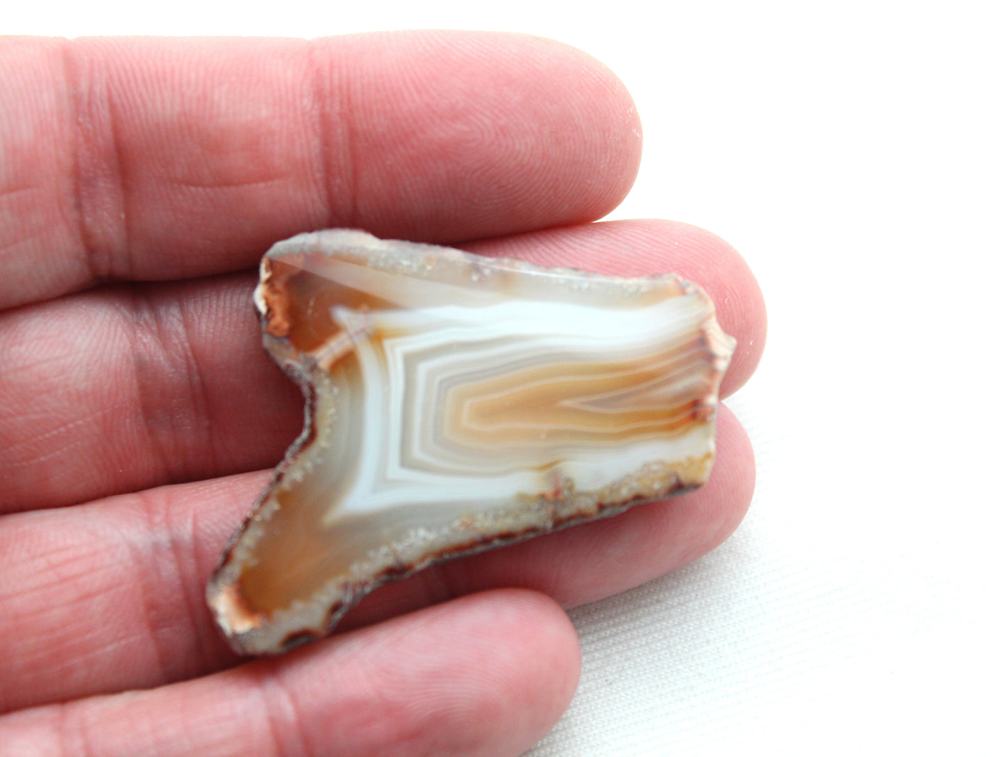 Sliced Agate Pair Gemstones freeform natural