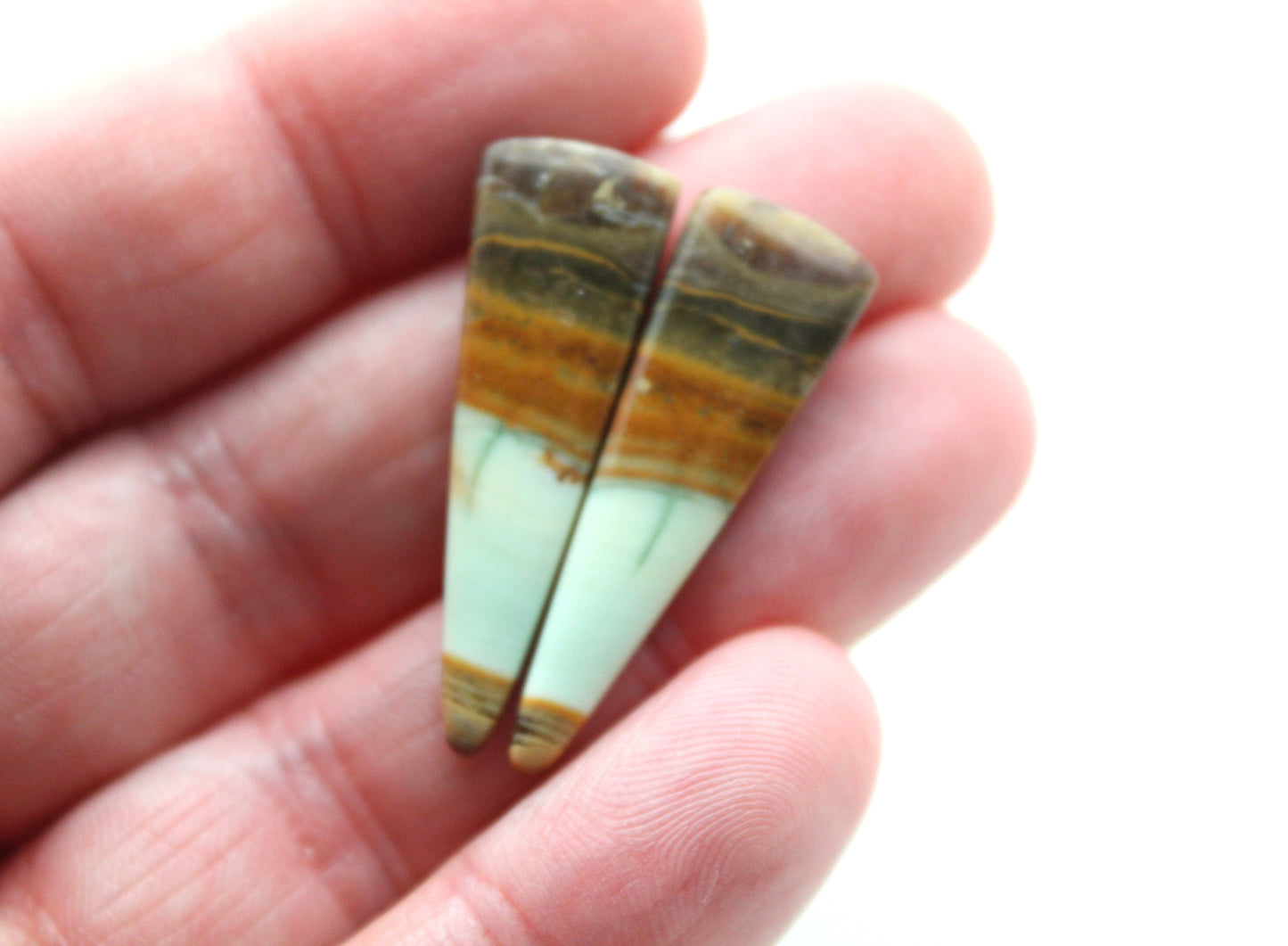Opalized Petrified Wood Cabochon Pair green gemstone