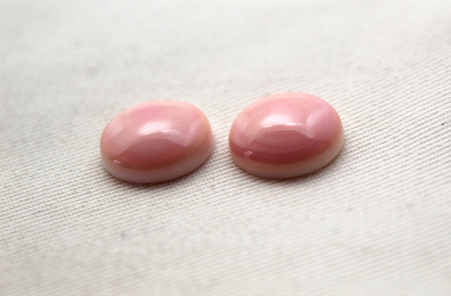 TWO Queen Conch Shell Round Cabochon 14MM