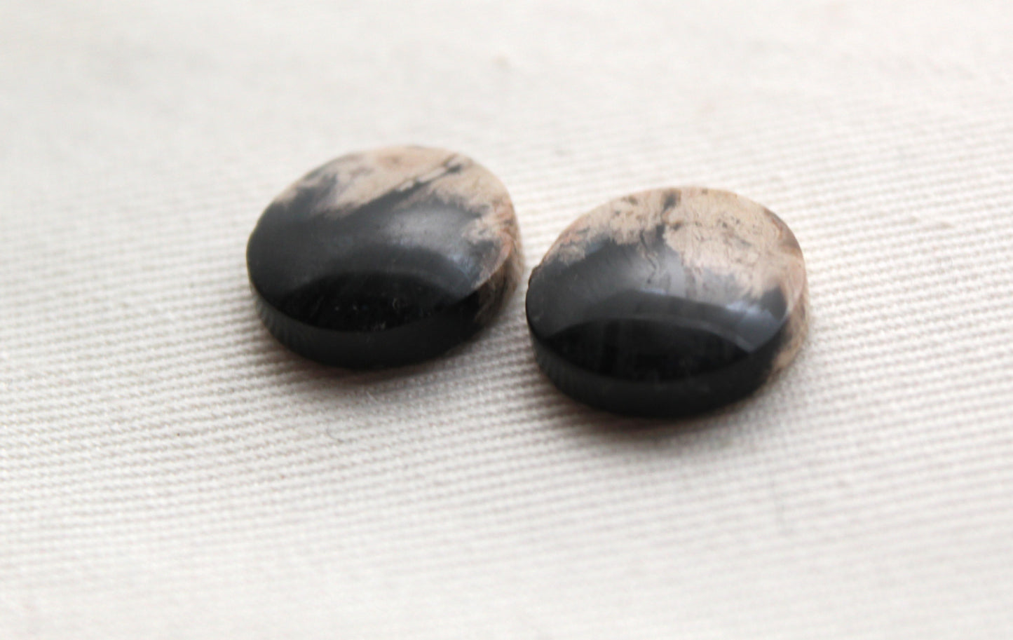SMALL Petrified Palm Wood Cabochon Pair round 14MM