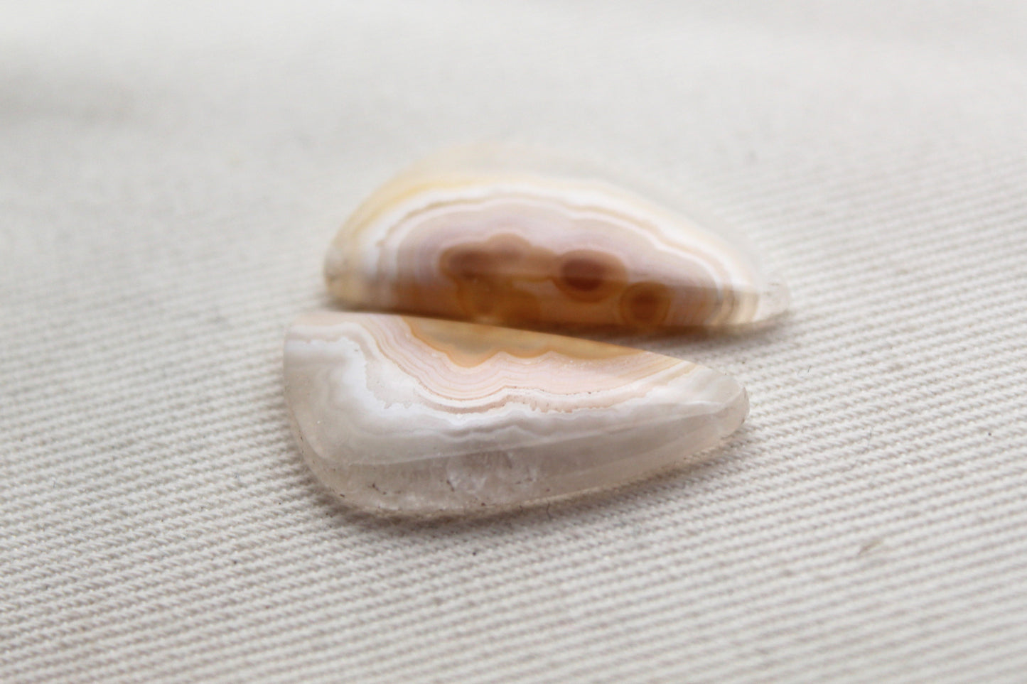 NICE Orbicular Agate Cabochons Pair Gemstone natural