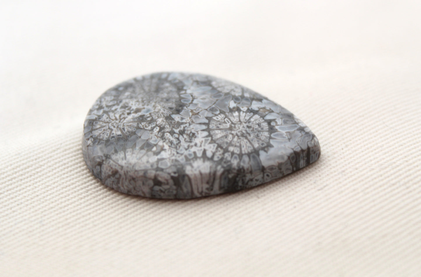 Fossilized Coral Gemstone Teardrop cabochon Pear