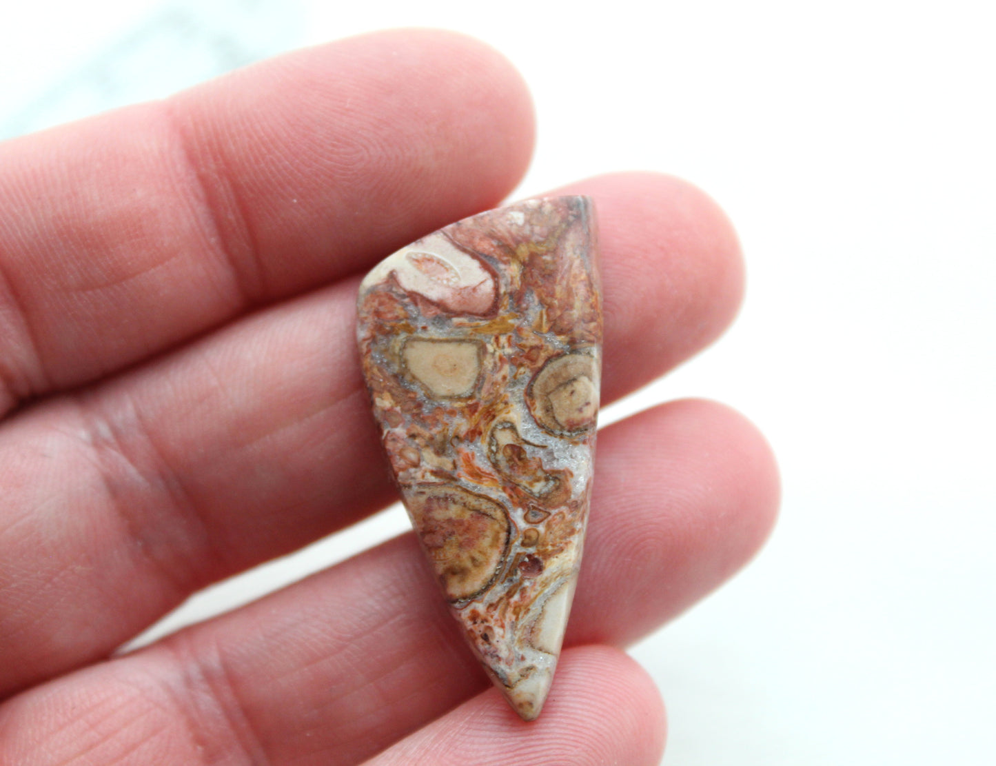 Red Palm Root Orb Cabochon Pair natural gemstones