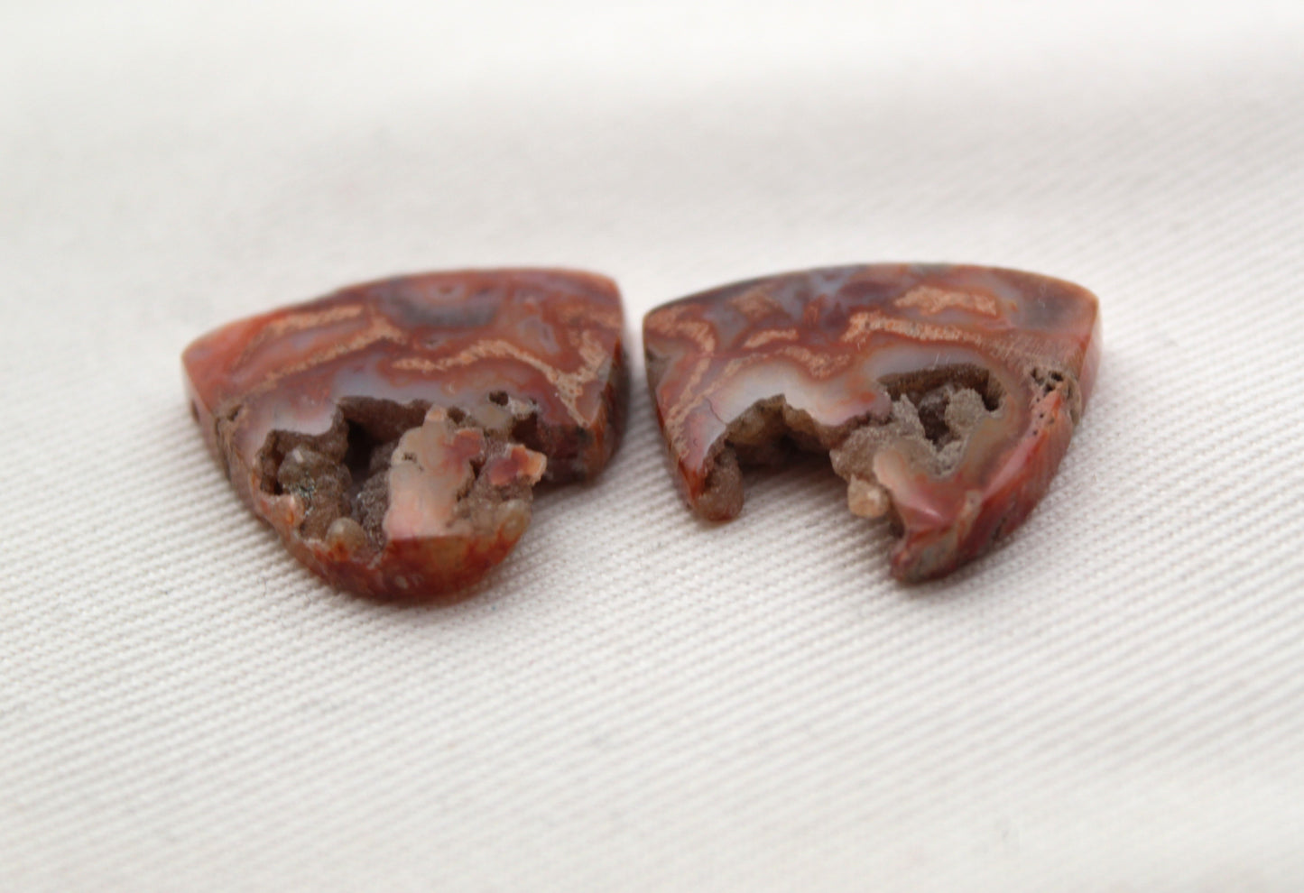 Fossil Palmwood Cabochon Pair Gemstone with druzy pockets pink
