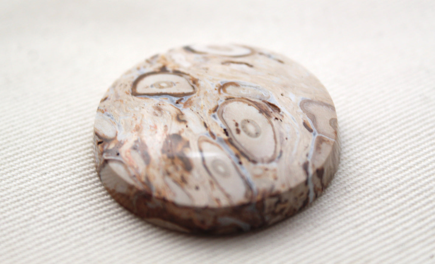 Petrified Palm root with Orbs Cabochon round Focal gemstone 30MM