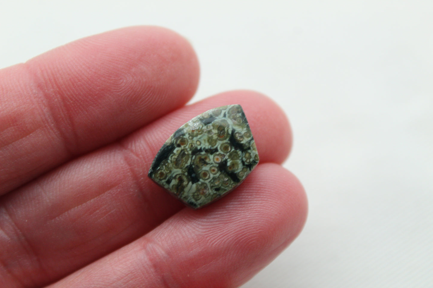 Small Green Olive Jasper Cabochon Pair Gemstone