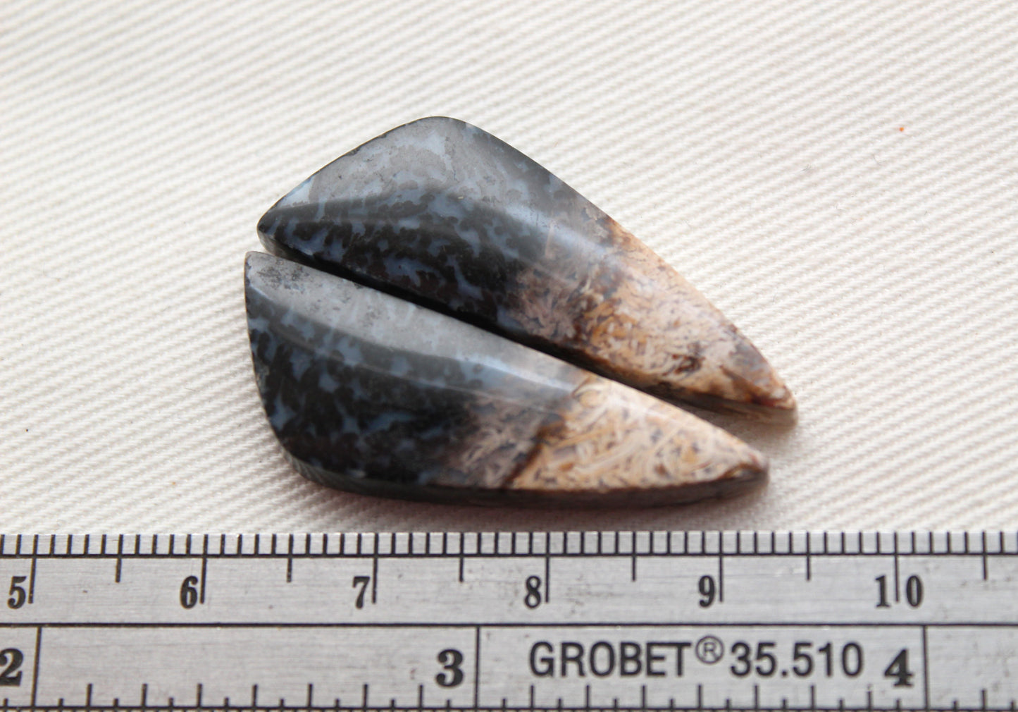 Petrified Palm Wood Cabochon Pair