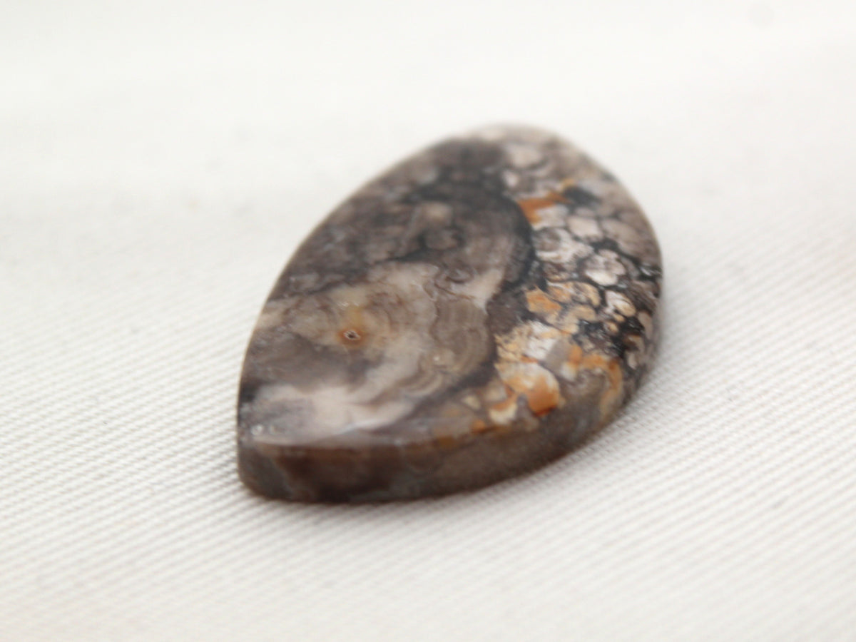 Fossilized Wood Gemstone Cabochon
