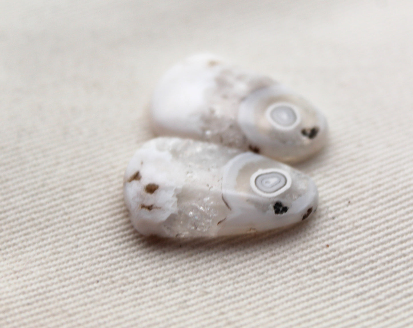 Orbicular Agate Cabochons Pair Gemstone natural