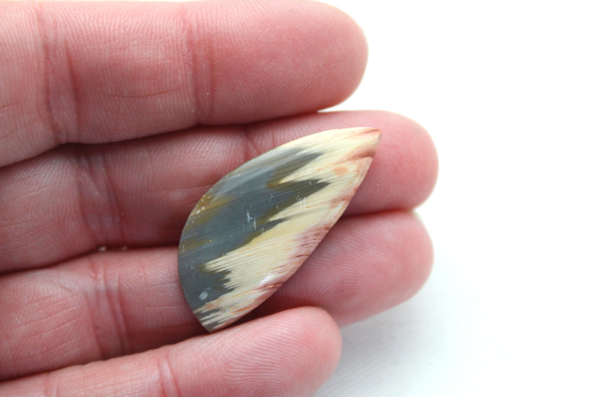 Rare Pair of Fossil Wood freeform gemstone