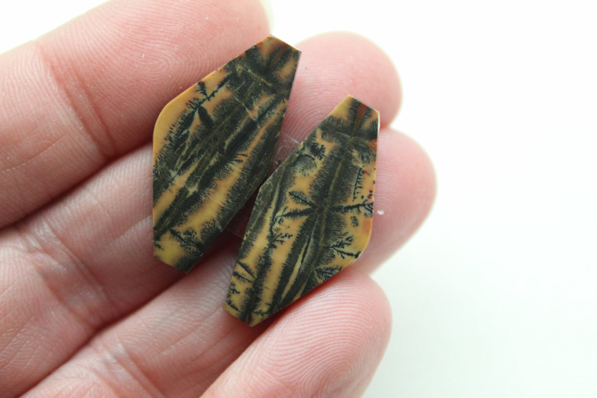 NICE Pair of Cabochons Yellow Feather Jasper Gemstone