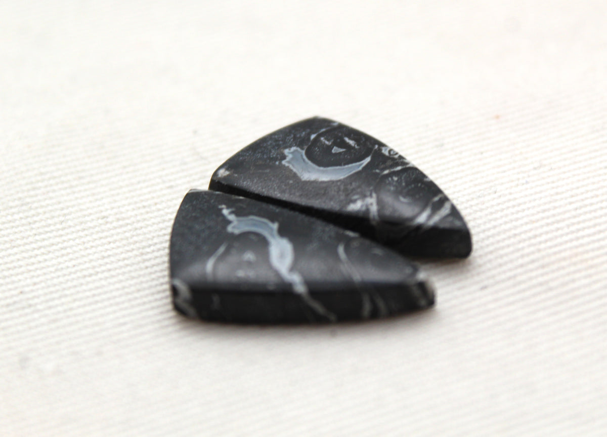 Small Black Palm Root Cabochon Pair natural gemstones