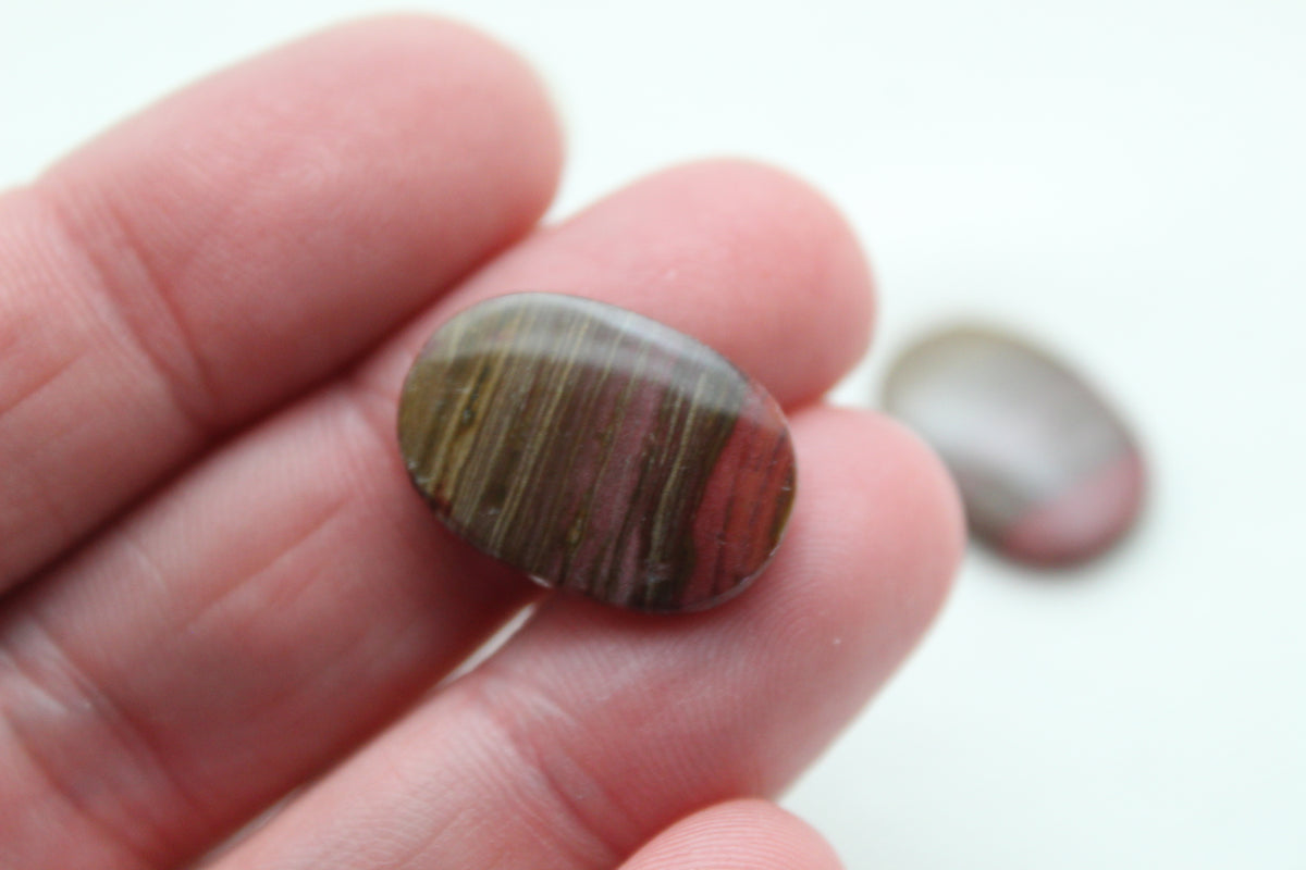 Small Petrified Wood Cabochon Pair natural gemstones