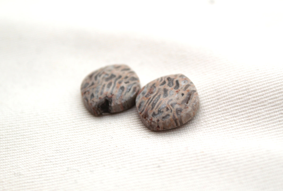 SMALL Fossil Palmwood Cabochon Pair Gemstone with druzy pockets