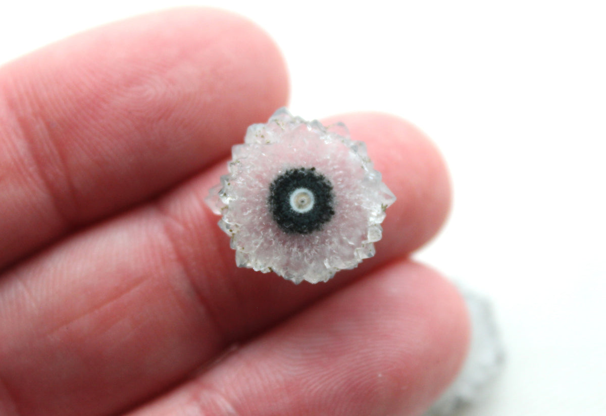 Solar quartz Pair gemstone freeform white green purple slice