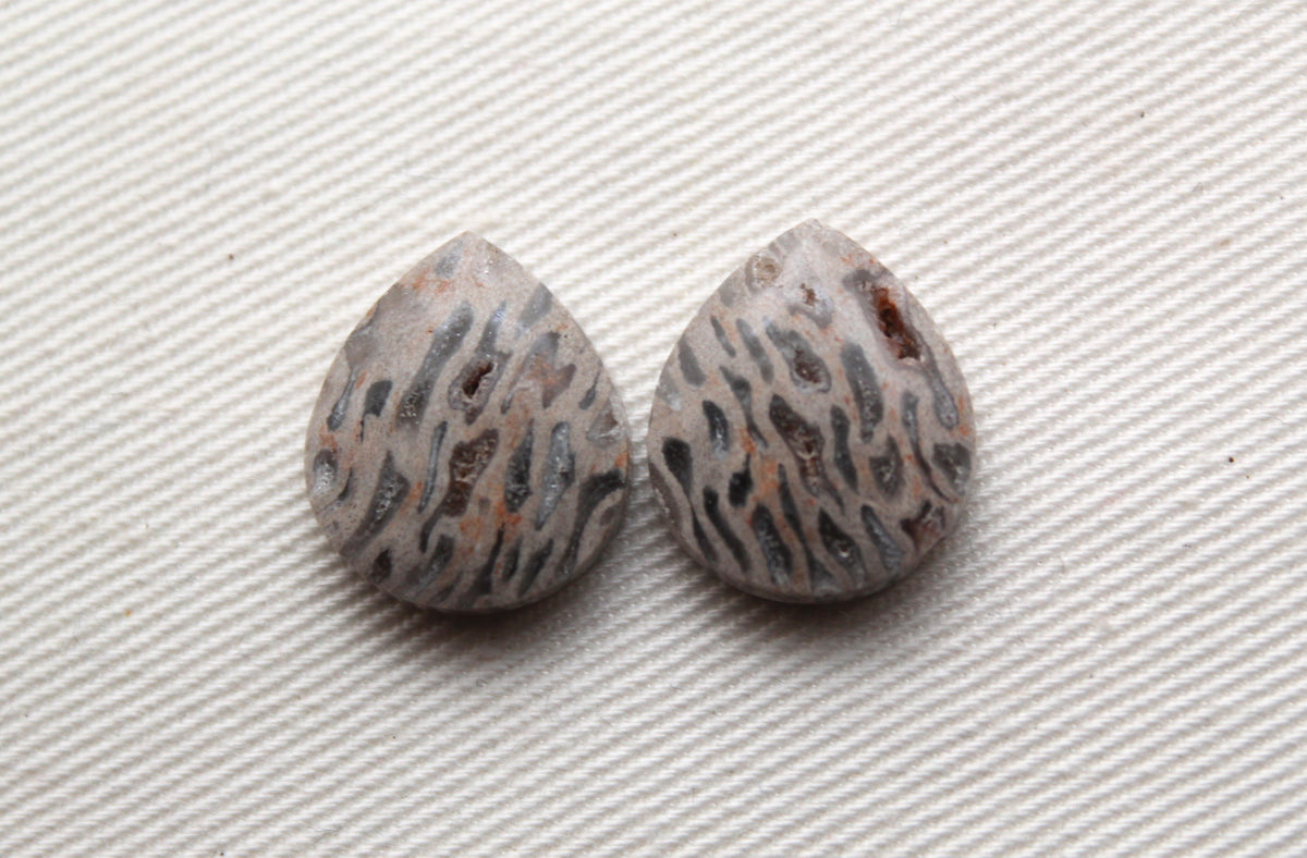 SMALL Fossil Palmwood Cabochon Pair Gemstone with druzy pockets