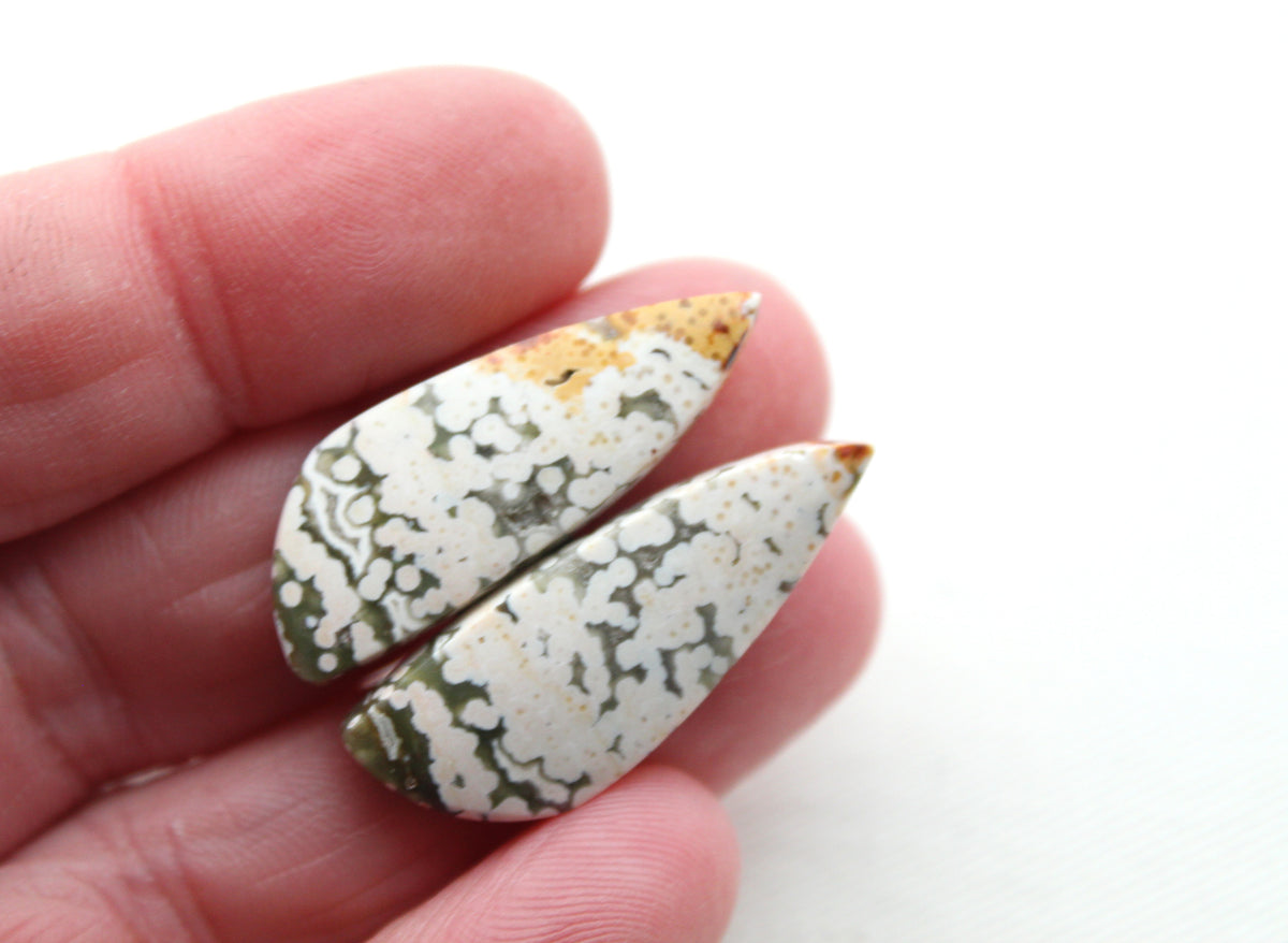 Orbicular Jasper Cabochon Pair Gemstone