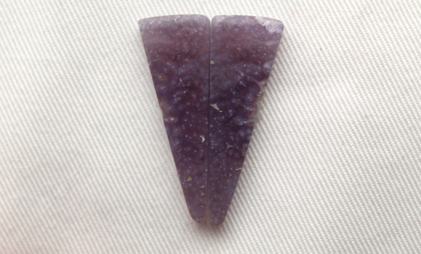 Fossil Palmwood Pair Cabochon Gemstone with druzy pockets Oval