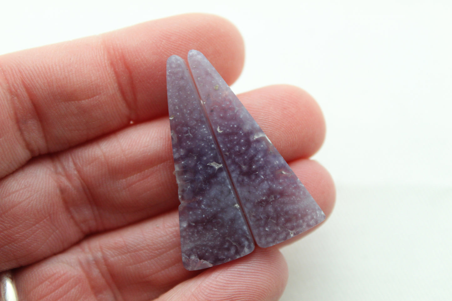 Fossil Palmwood Pair Cabochon Gemstone with druzy pockets Oval