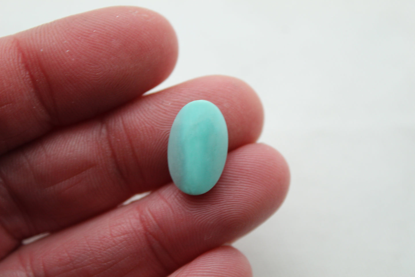 Fossil Palmwood Pair Cabochon Gemstone with druzy pockets Oval