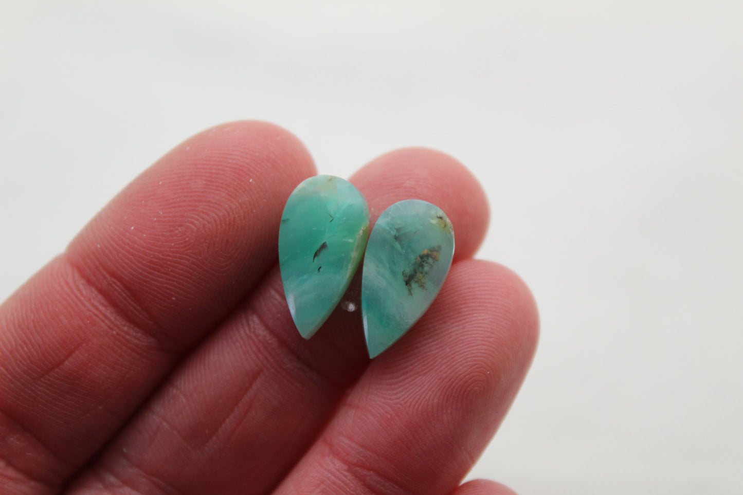 Fossil Palmwood Pair Cabochon Gemstone with druzy pockets Oval