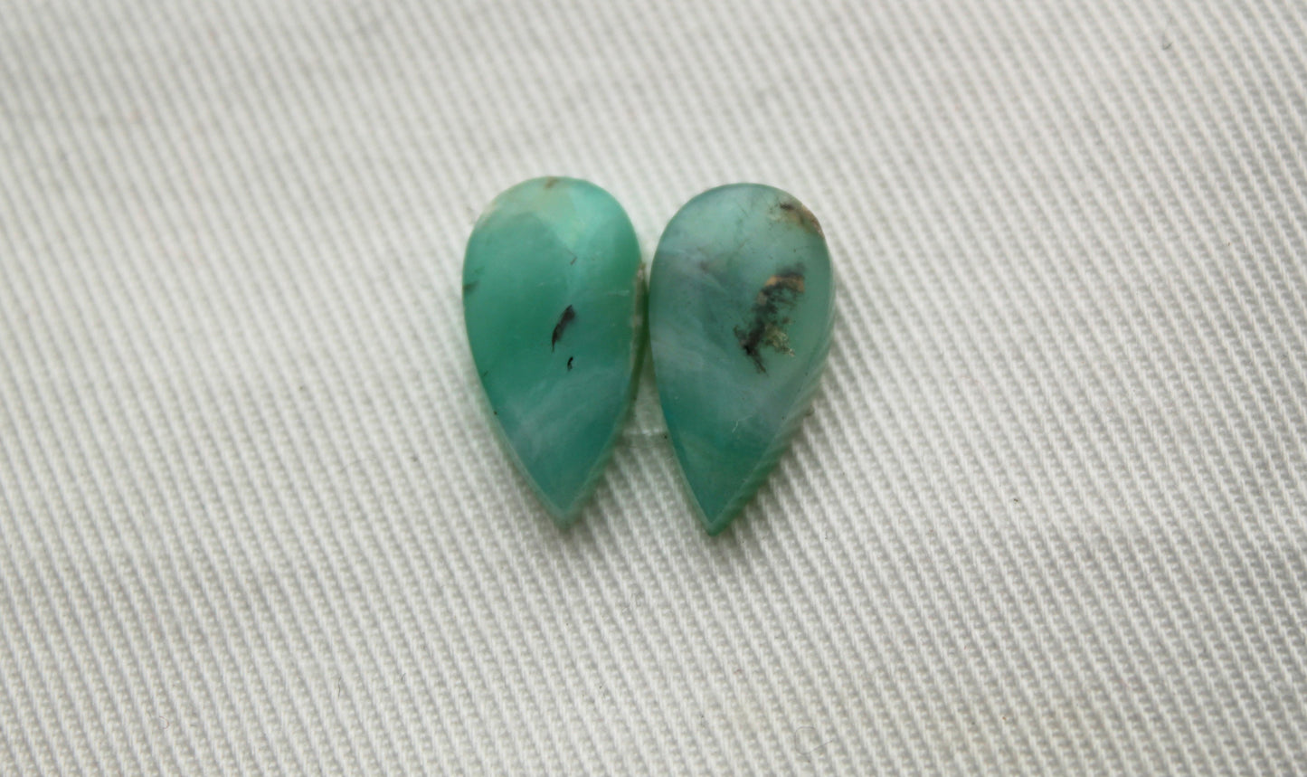 Fossil Palmwood Pair Cabochon Gemstone with druzy pockets Oval