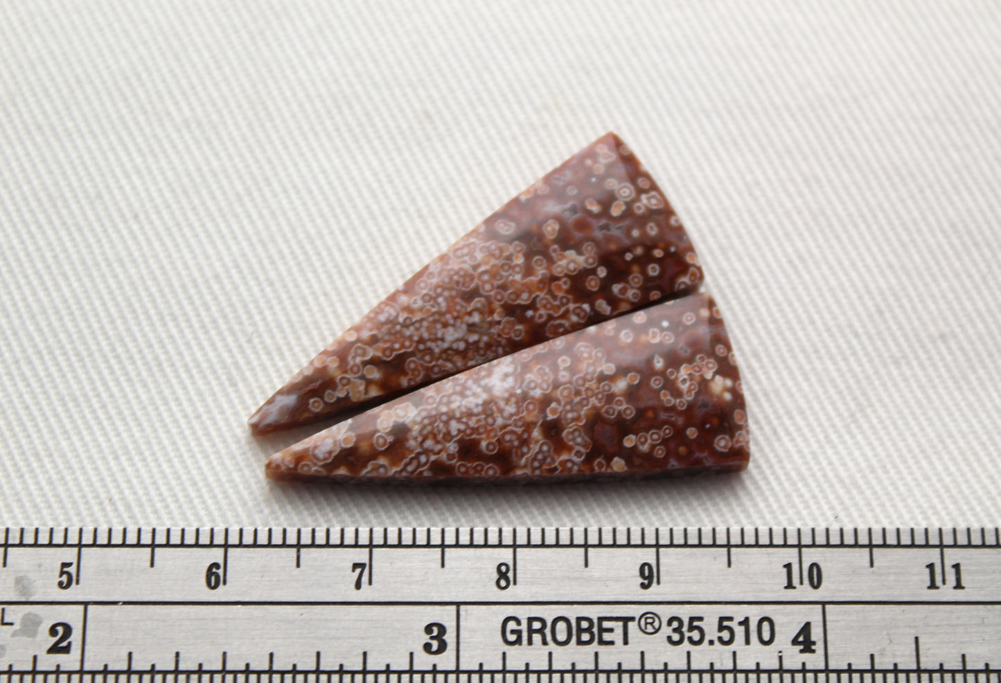 Fossil Palmwood Pair Cabochon Gemstone with druzy pockets Oval
