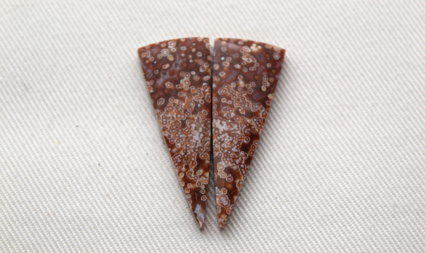 Fossil Palmwood Pair Cabochon Gemstone with druzy pockets Oval