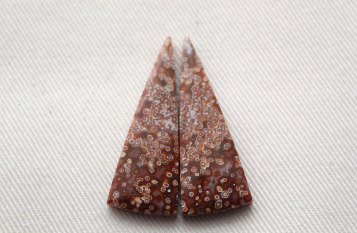 Fossil Palmwood Pair Cabochon Gemstone with druzy pockets Oval