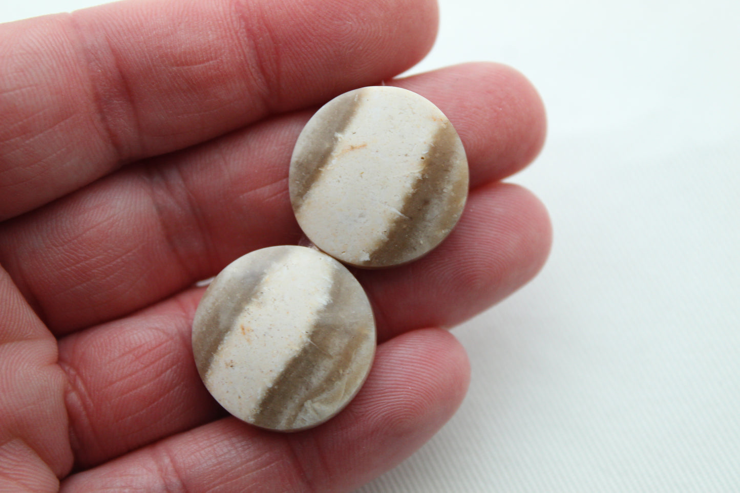 Fossil Palmwood Pair Cabochon Gemstone with druzy pockets Oval