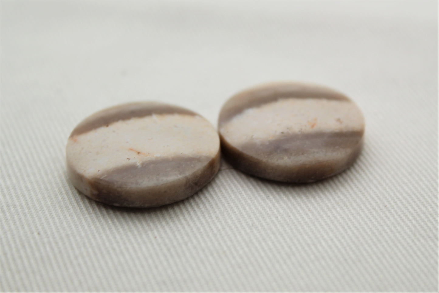 Fossil Palmwood Pair Cabochon Gemstone with druzy pockets Oval