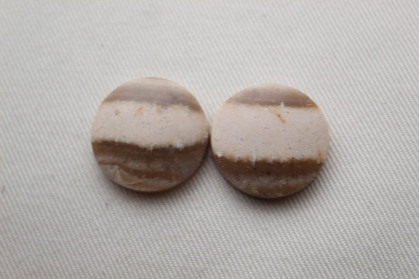 Fossil Palmwood Pair Cabochon Gemstone with druzy pockets Oval