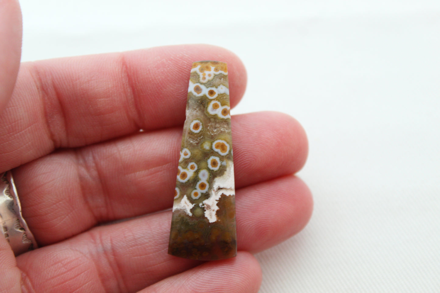 Fossil Palmwood Pair Cabochon Gemstone with druzy pockets Oval