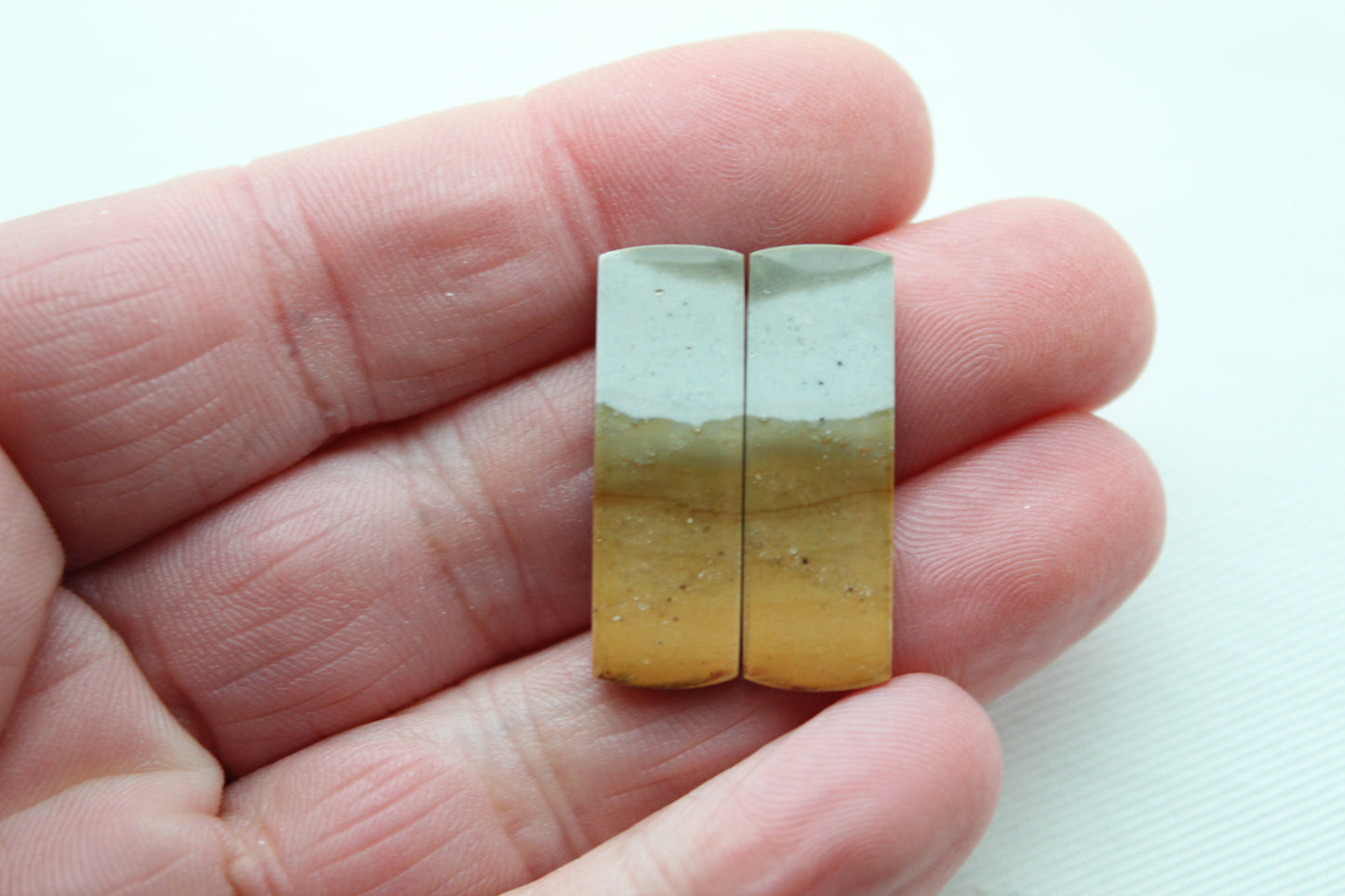 Fossil Palmwood Pair Cabochon Gemstone with druzy pockets Oval