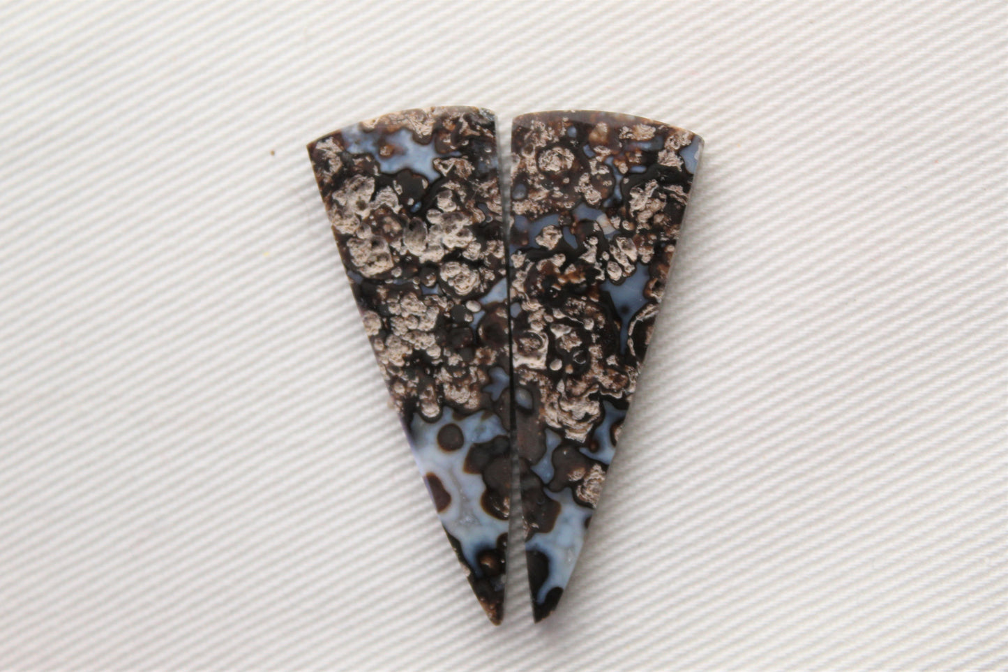 Fossil Palmwood Pair Cabochon Gemstone with druzy pockets Oval