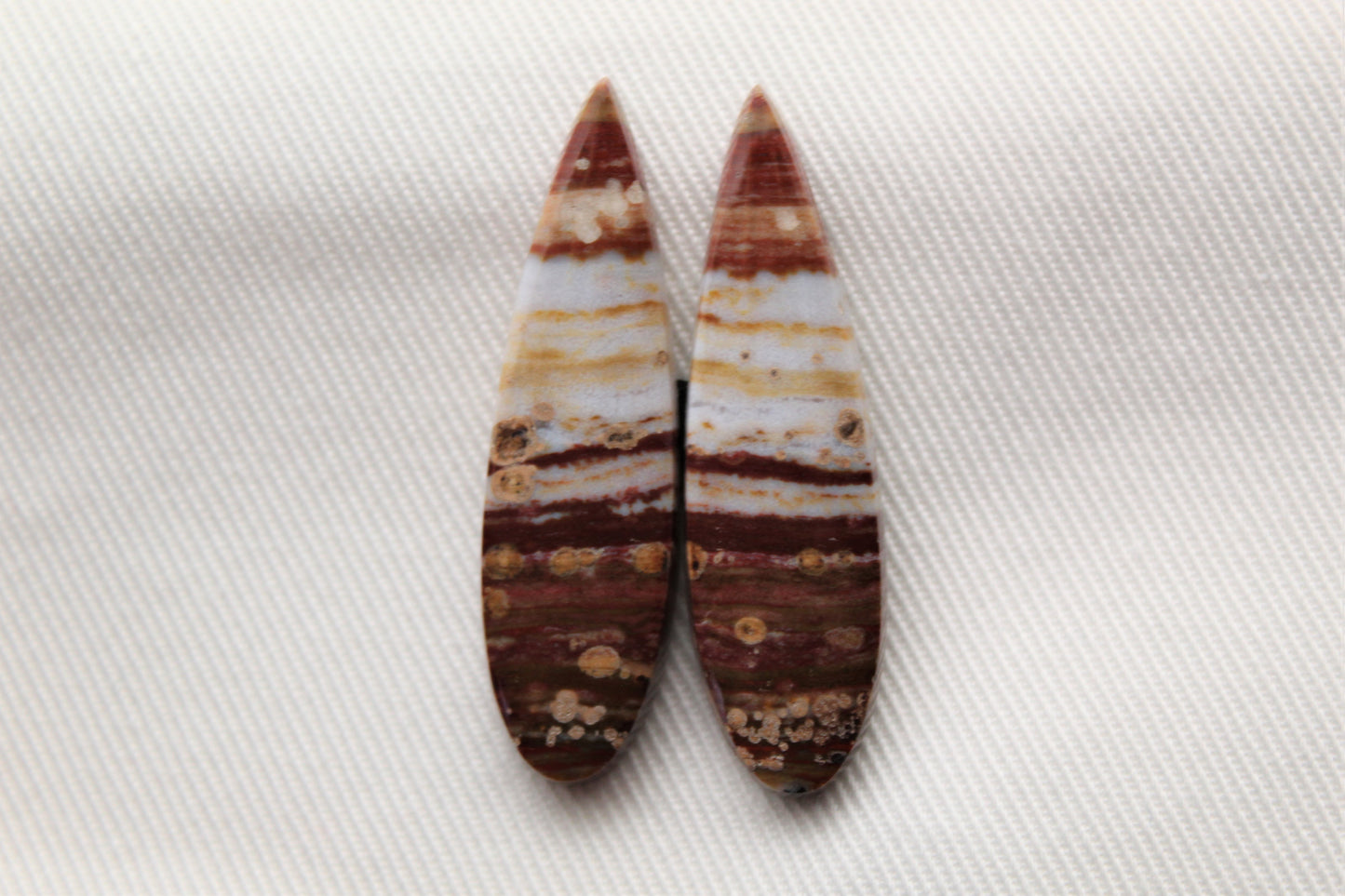 NICE teardrop pair of Petrified Wood Cabochons