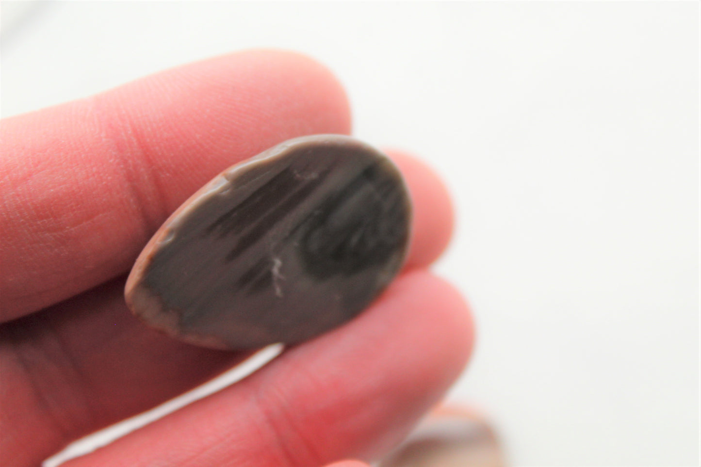 Fossil Palmwood Pair Cabochon Gemstone with druzy pockets Oval